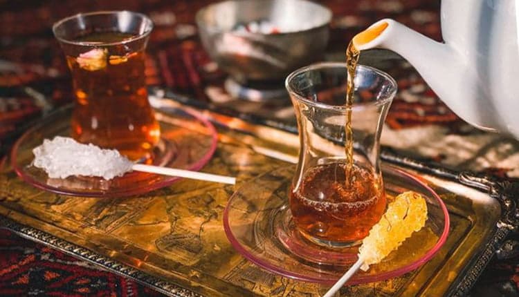 نبات چیست