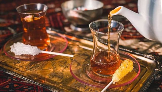 نبات چیست