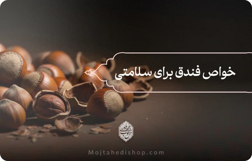 همه چیز درباره فندق | خواص فندق برای سلامتی، زیبایی و تغذیه