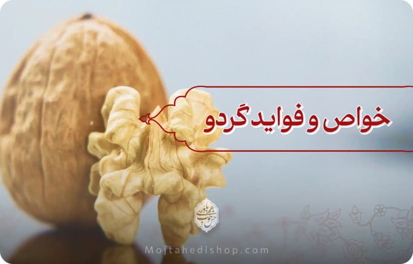 انواع گردو | خواص و فواید آن + مواد مغذی