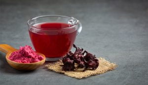 دمنوش چای ترش مجتهدی و اهمیت آن در تب سنتی