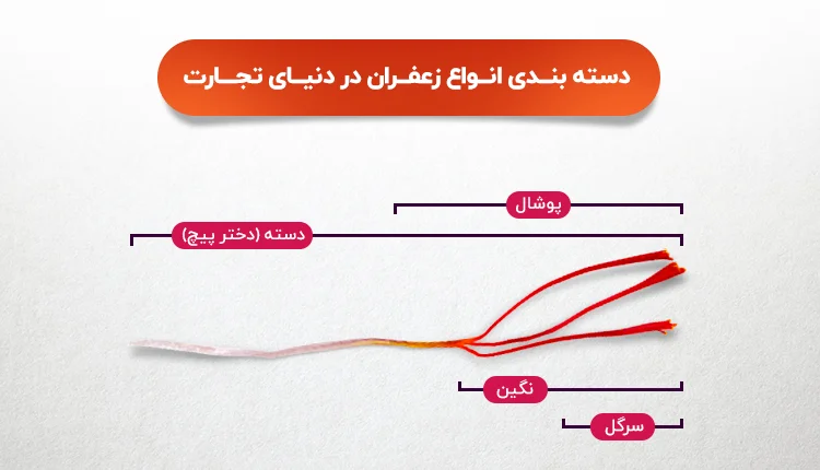 انواع زعفران