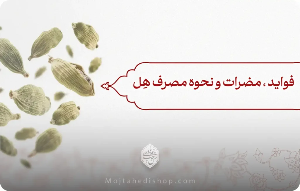 فواید هل، مضرات و نحوه مصرف هِل