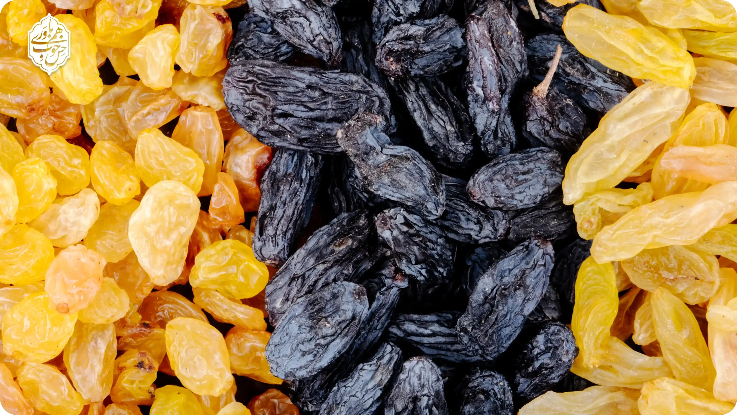 تفاوت انواع کشمش ایرانی