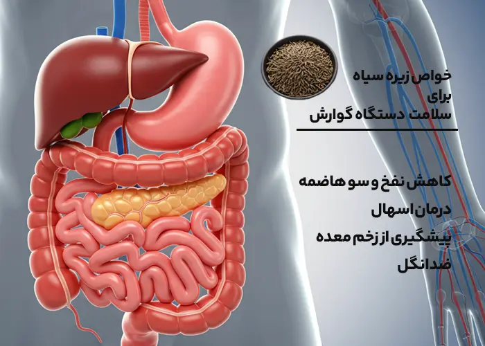 زیره سیاه و نفخ و اسهال و گوارش