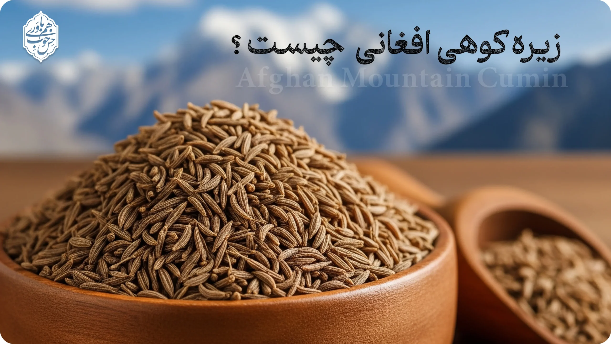 زیره کوهی افغانی چیست