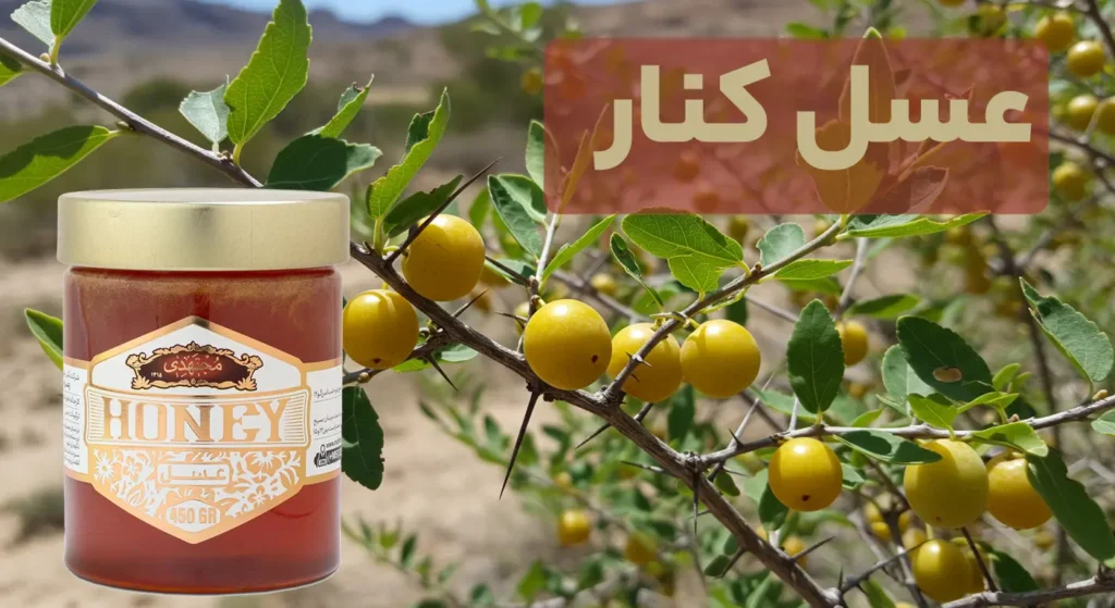 خرید عسل کنار مجتهدی