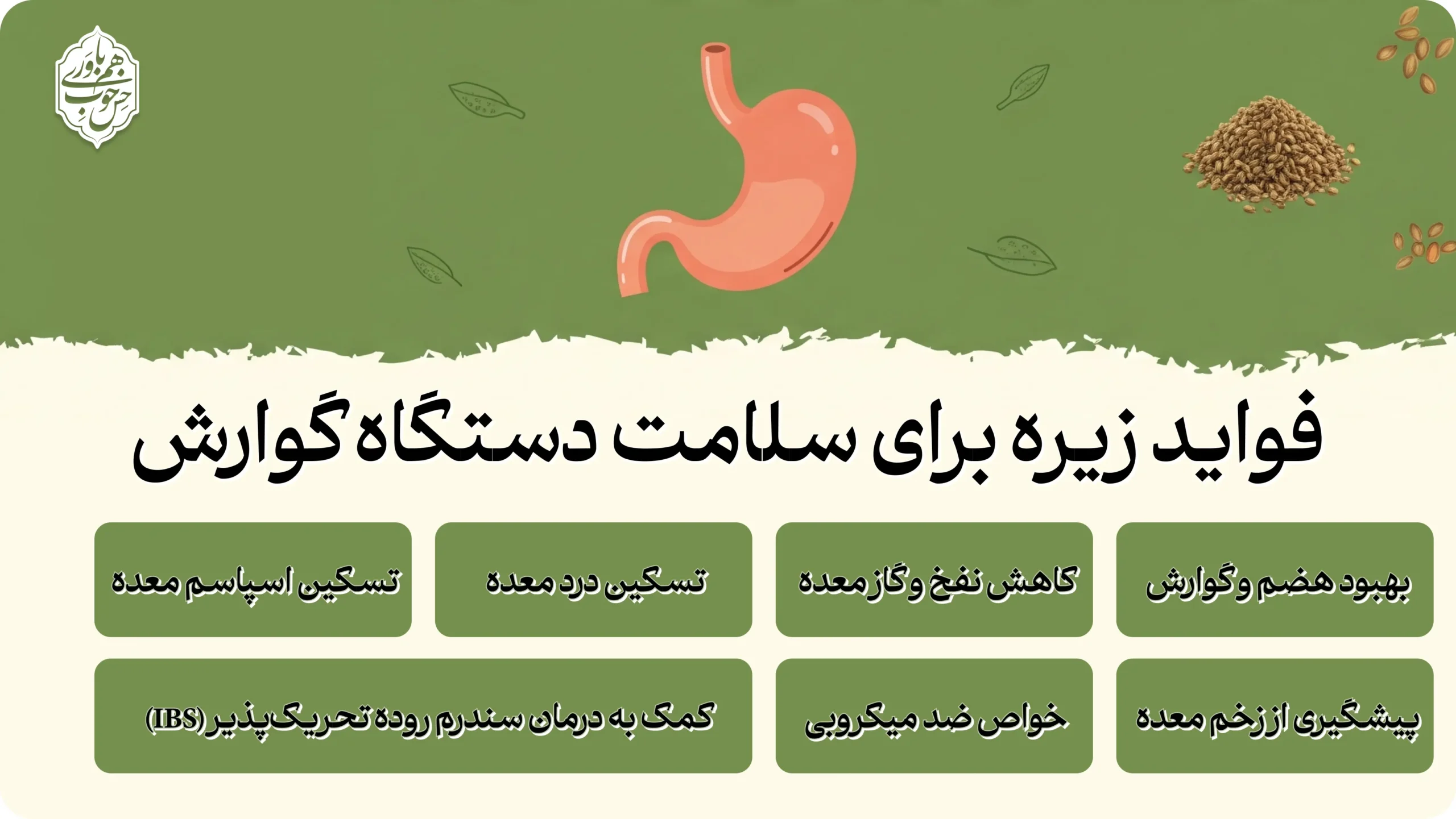 فواید زیره برای معده