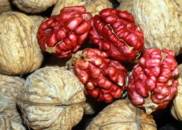 گردو تو سرخ