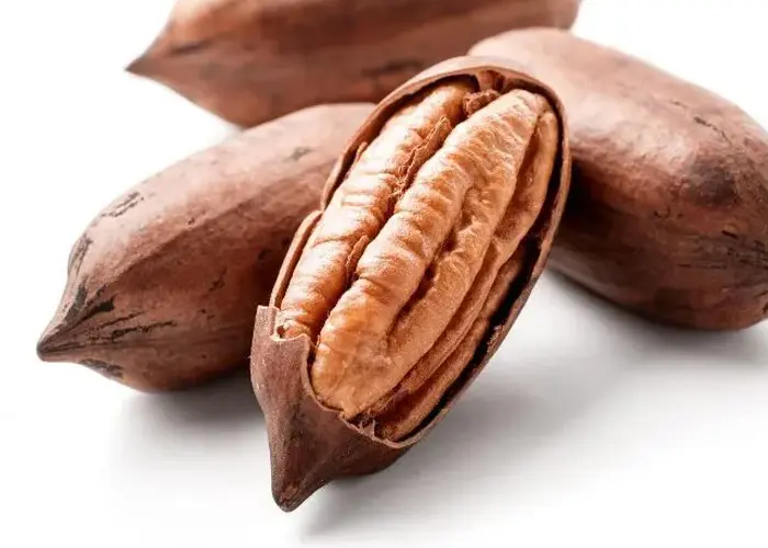 گردو پکان آمریکایی