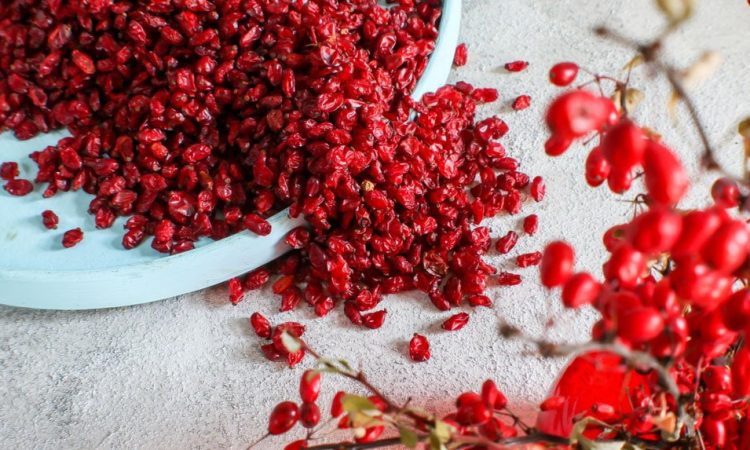 روش های خشک کردن زرشک تازه